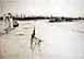 lowtide1.jpg - 6433 Bytes
